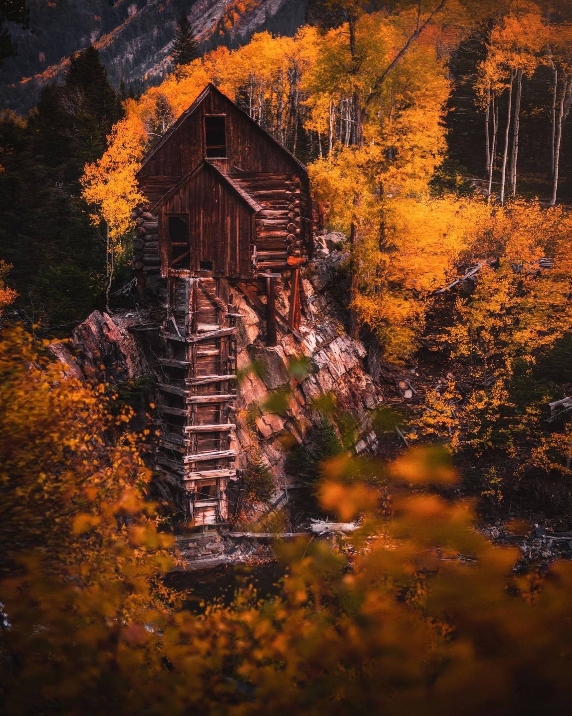 Historic wooden structure surrounded by glowing golden aspens