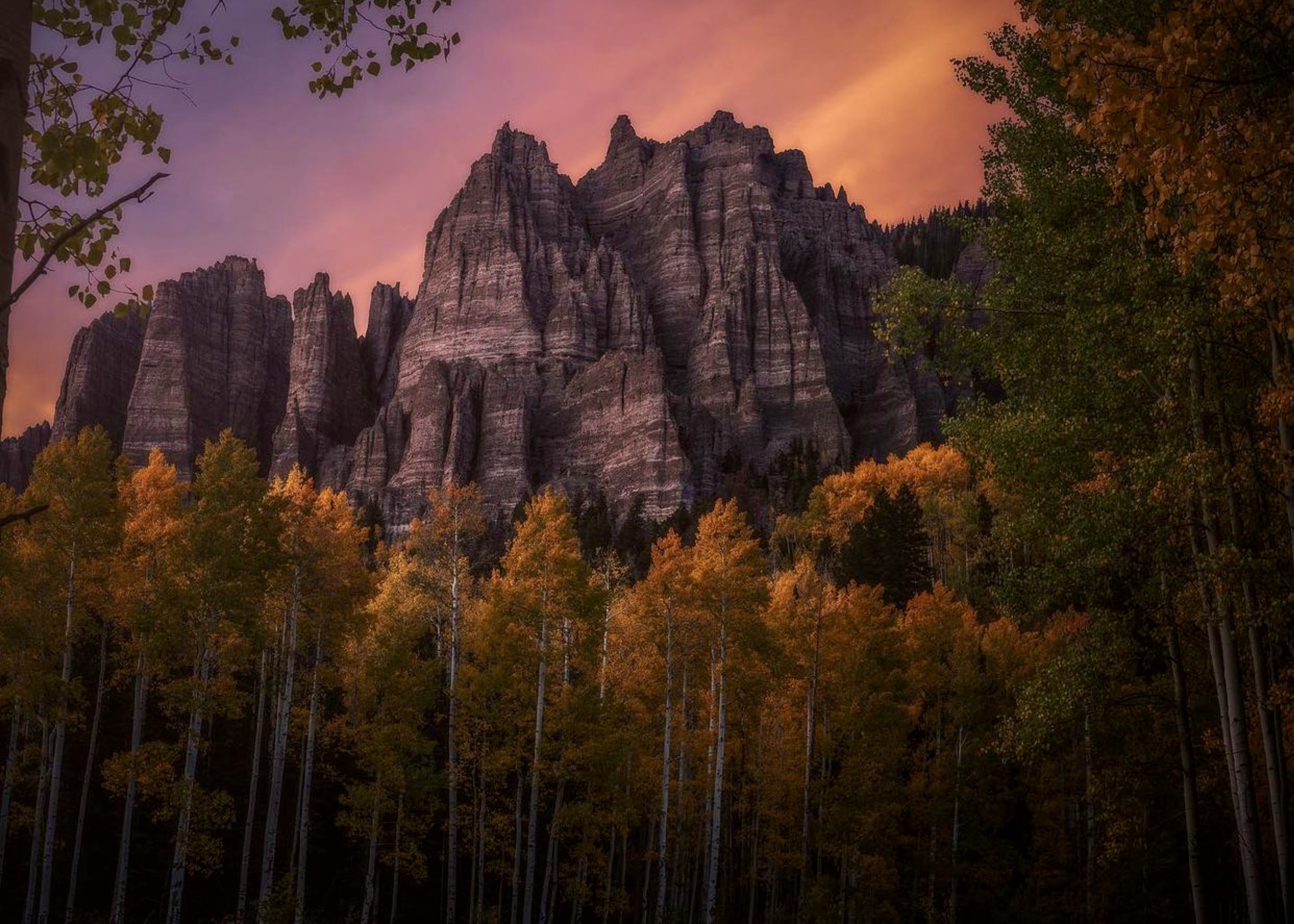 Colorado rock spires rise above glowing fall aspens beneath a warm sunset sky