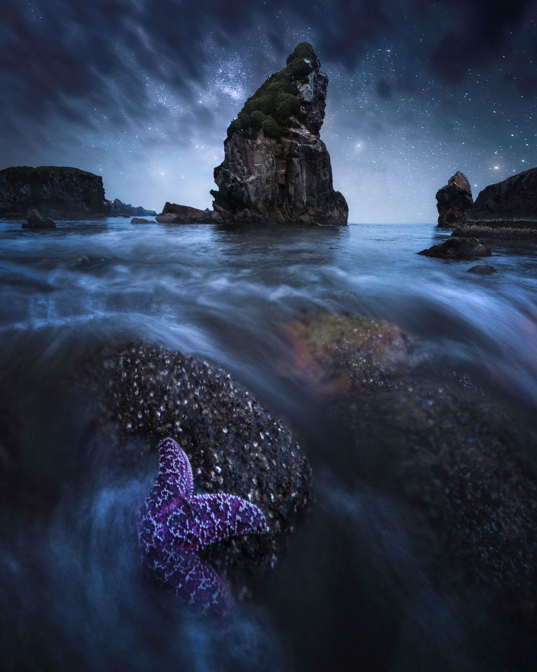 Starfish and tide-washed rocks beneath an Oregon sea stack