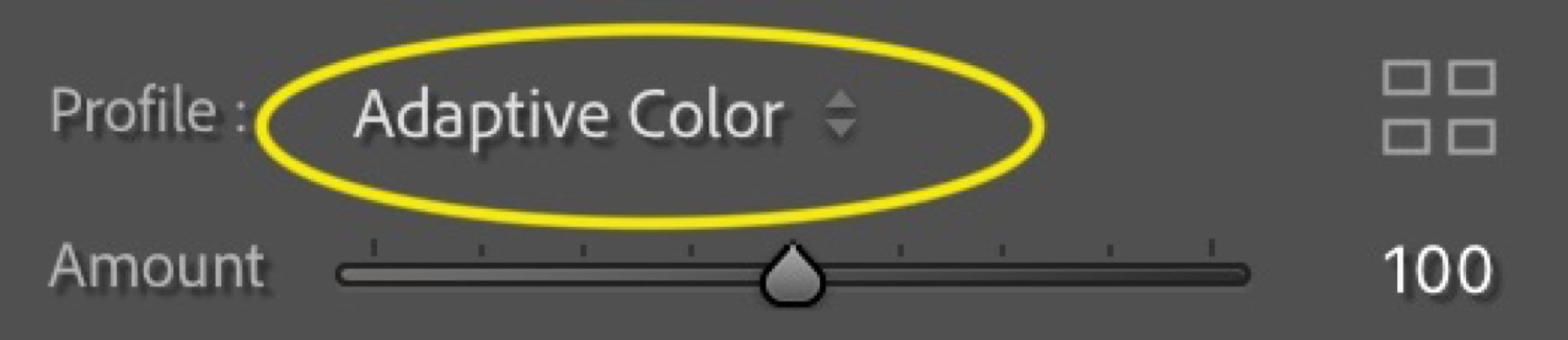 Screenshot of Lightroom Adaptive Color selection control.