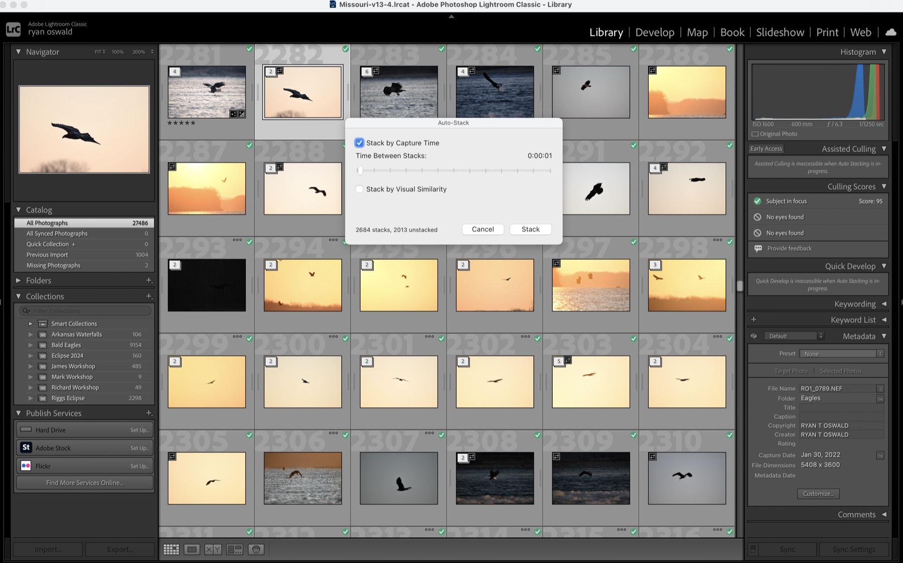 Lightroom Classic grid view showing bald eagle burst photos grouped into stacks to speed up culling