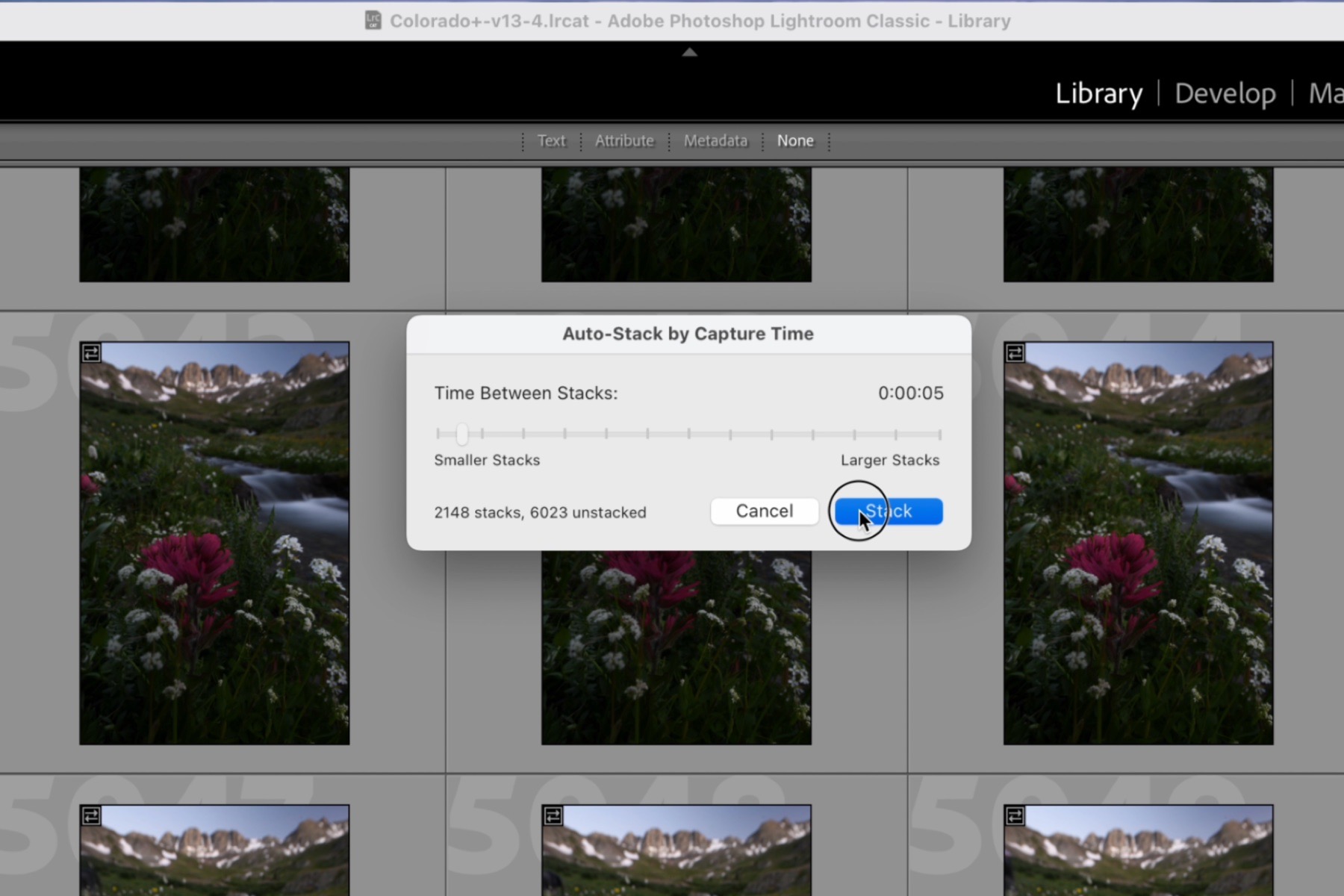 Lightroom Classic Auto-Stack dialog showing the predicted stack count