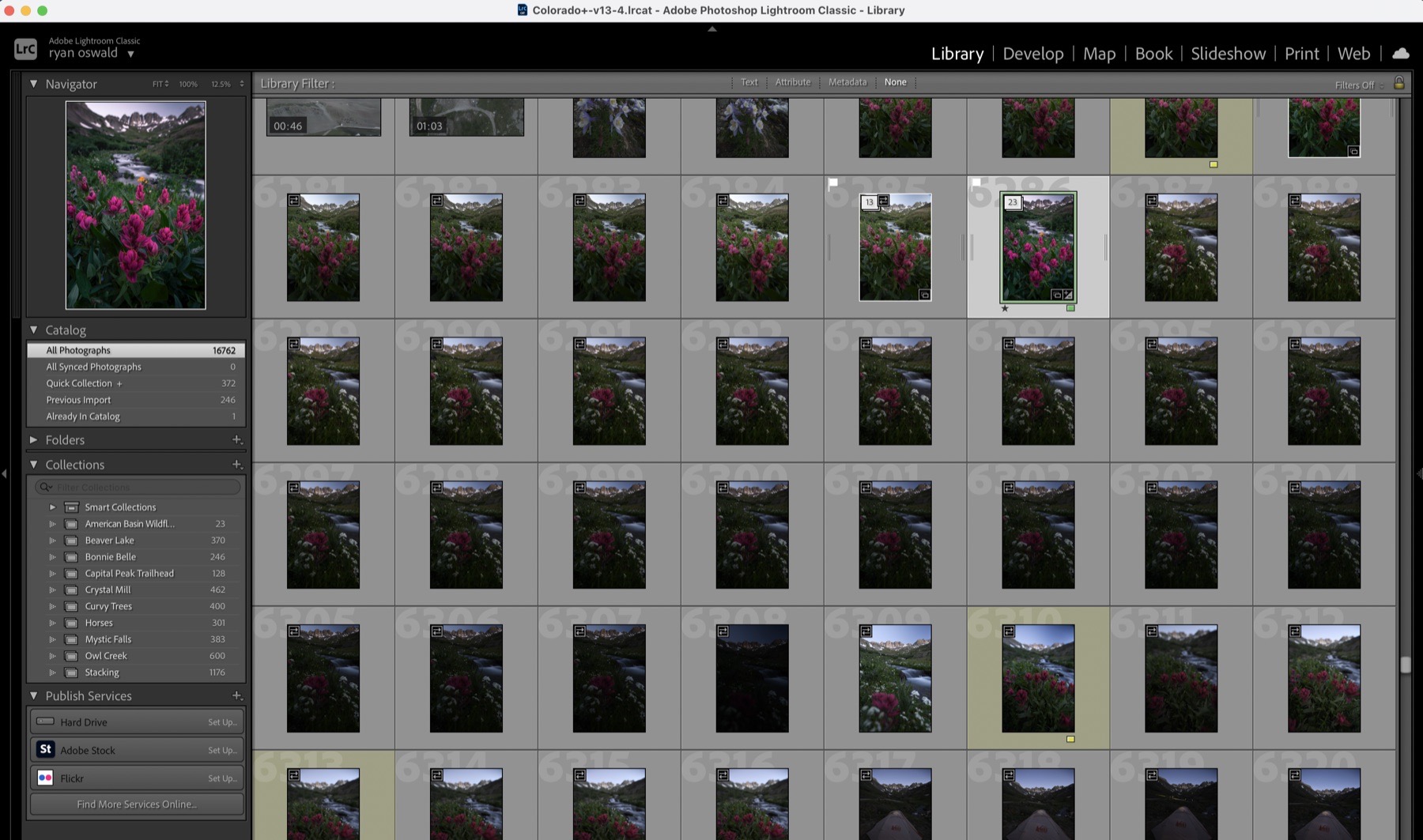Lightroom Classic Grid view with sequences collapsed into numbered stacks