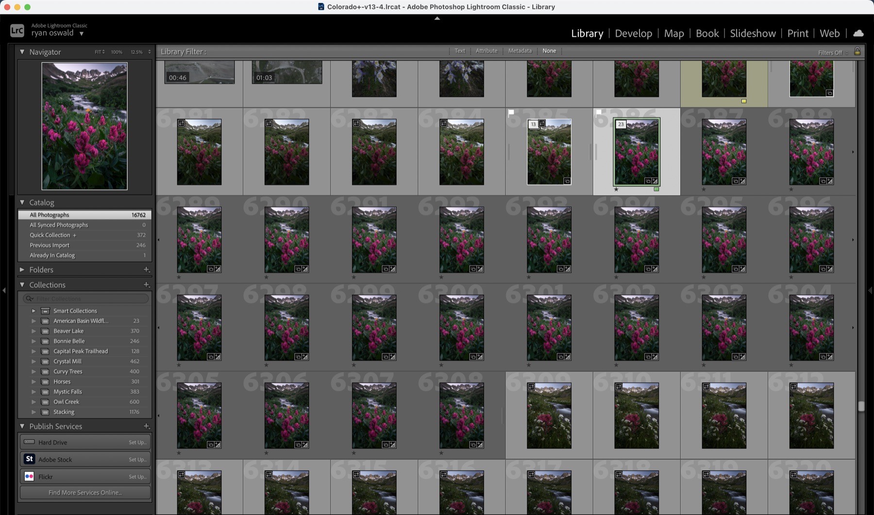 Lightroom Classic Grid view with photo stacks expanded for review