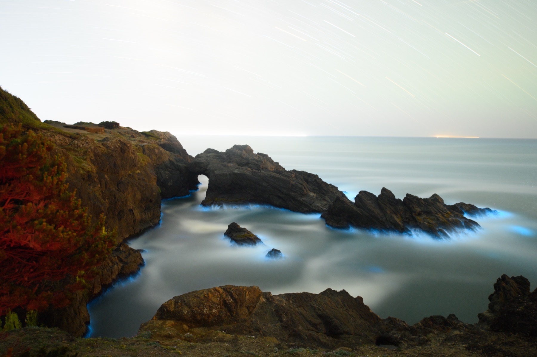 Unedited moonlit Oregon coast with star trails and blue bioluminescence