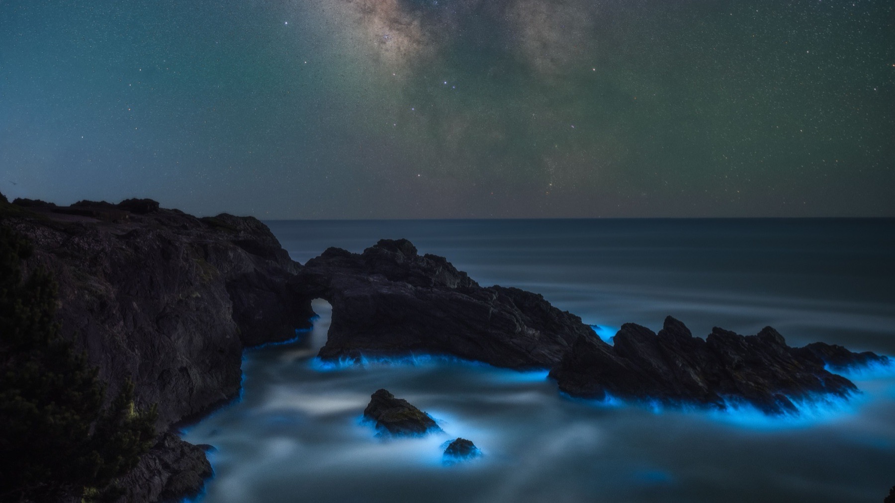 Oregon coastal foreground photographed at night beneath a starry sky