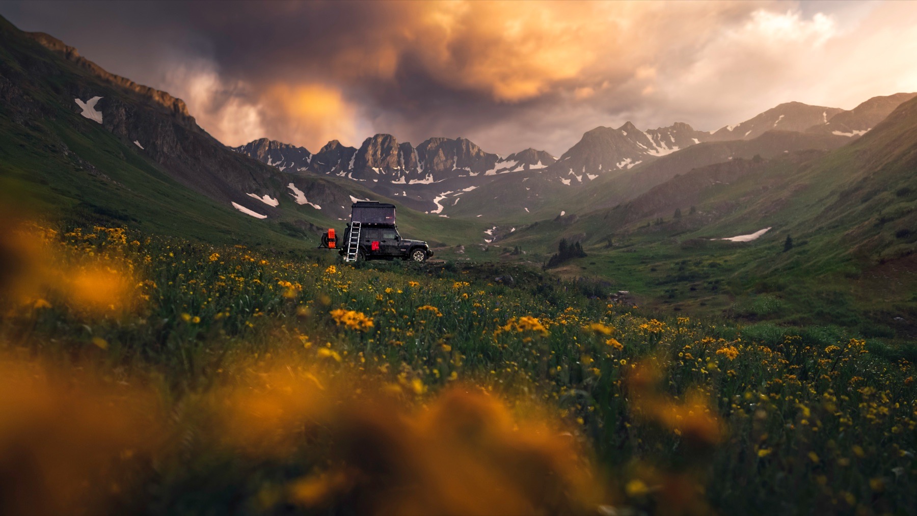 san juan mountains Overlanding colorado photography wildflowers workshop