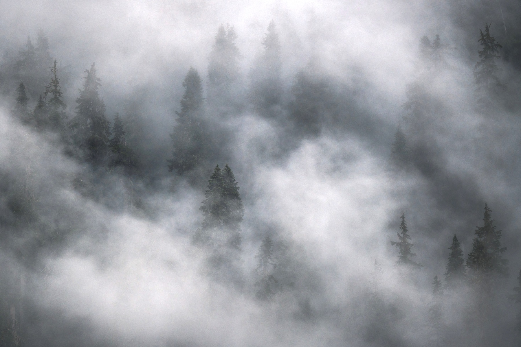 Moody Washington landscape during a difficult photography trip