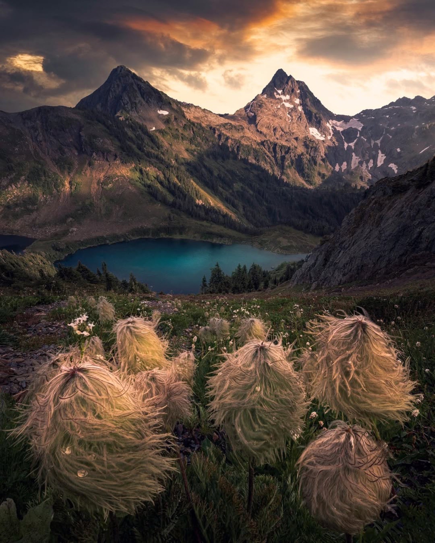 Washington landscape photography Fluffy plants in foreground with dewdrops. Majestic mountains and a blue lake in the background under a dramatic sunset sky.