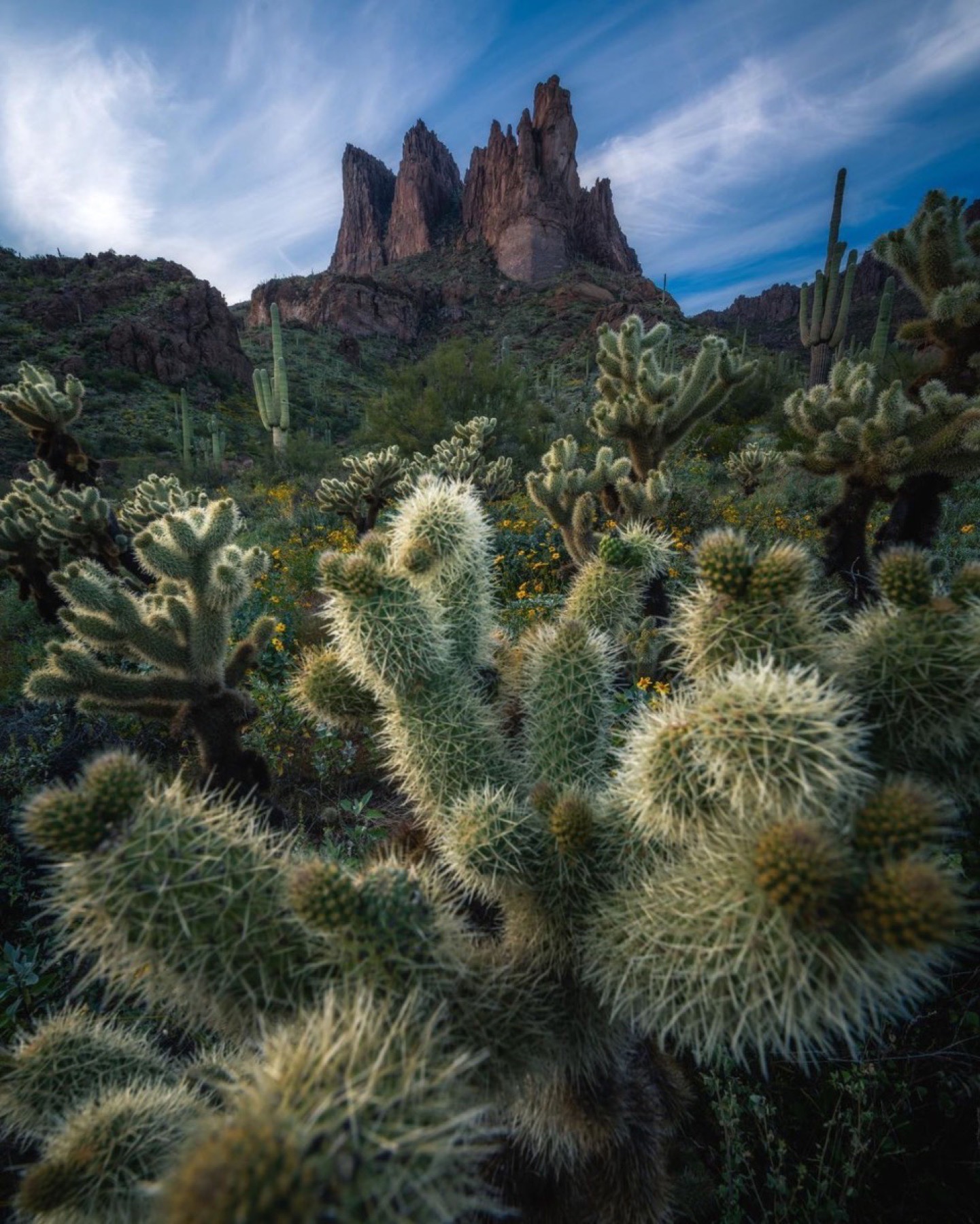 Cholla cactus foreground below Three Sisters rock formations in Arizona